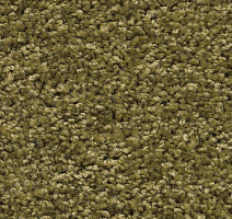 Ковролин AW Devotion 23 фото 1 | FLOORDEALER